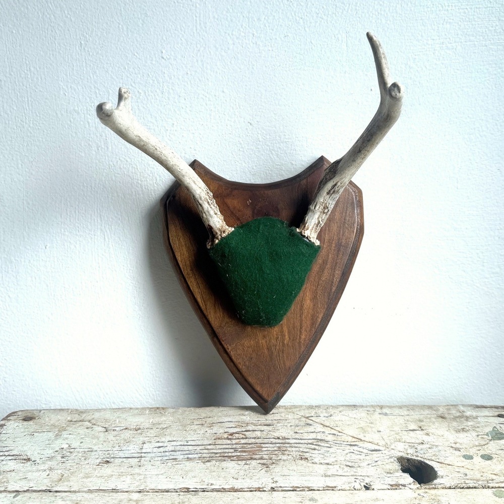 4 Point Whitetail Deer Antler‎ Rack Handcrafted Green Felt Heart Wood Plaque